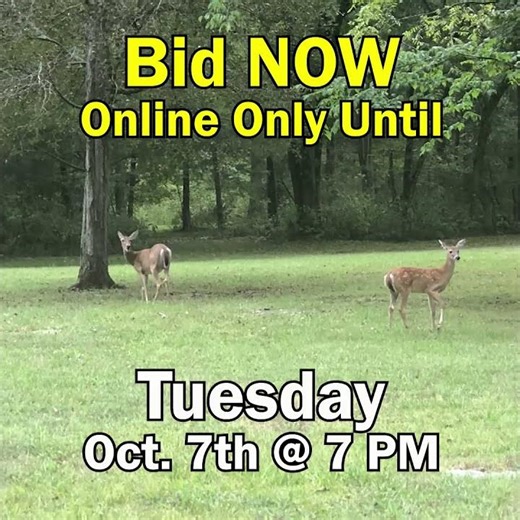 🚜 LAND AUCTION – 74± ACRES 🚜Bid Now Until Oct. 7th, 2025