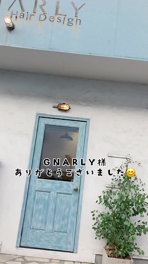 ユーカリポポラス 鉢植えの育て方と挿し木のコツ