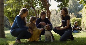 27K views · 1.4K reactions | Why Beagles? Why does the testing...