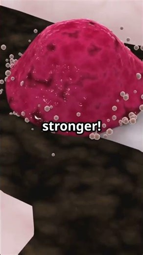Your Bones Rebuild Themselves Every Day!!! #tiktok
