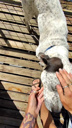 401K views · 9K reactions | Catching up on videos for y’all!! My dad and brother hiked into the lookout with me a couple weeks ago, and I was excited because I planned their visit around a resupply. 1. So we’d have fresh provision for all. 2. Because my pops LOVES helicopters!!) Little did I know, we’d get a couple extra shows.  #lookout #lookoutformichelle #firelookout #lookoutlife #offgrid #resupply | Lookout for Michelle | Facebook