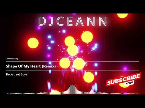 Backstreet Boys - Shape Of My Heart (Remix)