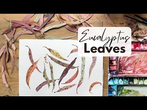 Australian Eucalyptus Gum Leaves Watercolour Real Time Tutorial