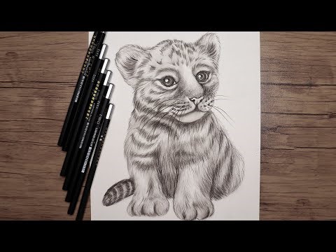 Beginner to Pro: Drawing a Realistic Tiger Cub with Pencil