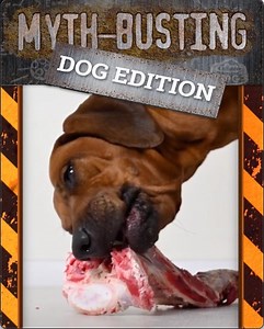 623 reactions · 272 shares | 數 Do you know the healthiest meat for dogs? Chances are its not in your dog's food! Which means your dog may be missing out on amazing benefits, like strong muscles, shiny coats, healthy teeth & gums, and a supported immune system. But helping make sure your dog is getting all the vitamins they need can be EASY! Try Nutra Complete now!  | Ultimate Pet Nutrition | Facebook