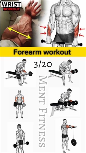 forearm workout#ArmWorkouts #MuscleBuilding #GetFit #Bodybuilding#FitnessMotivation #Workout#Fitness