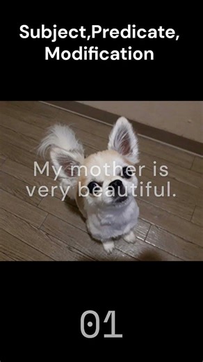 How do you say it in Japanese? #Subject #Predicate #Modifier #Japanese #Shorts