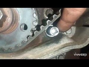 distribución de Iveco daily