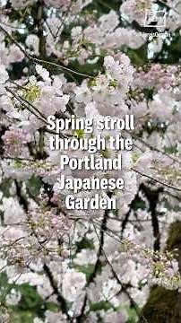 Take a springtime stroll through the Portland Japanese Garden