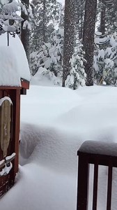 29K views · 782 reactions | Shaver Lake looks like a winter wonderland right now! Are you dealing with snow where you're at? Send your pictures and videos to burst.com/fox26. We'd love to see them and they may just make it on air! (Video Courtesy: Ken Warkentin) | FOX26 | Facebook