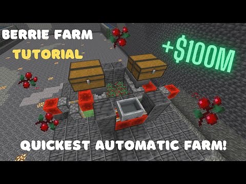 Best berry farm for DonutSMP. 15+ million overnight!