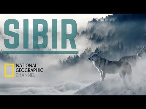 DIVLJA RUSIJA, SIBIR, Dokumentarni Film Sa Prevodom, Nacionalna Geografija (National Geographic)