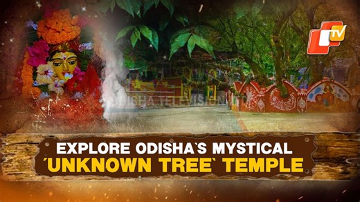 Goddess Of ‘Unknown Tree’ In Cuttack: Explore The Legend Of Maa Bali Bhuasuni | My Odisha, My Pride