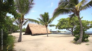Ancient Hawaiian grass house built on sand at Kaloko-Honokohau National Historical Park on the island of Hawaii surrounded by coconut trees with the ocean in the distance.