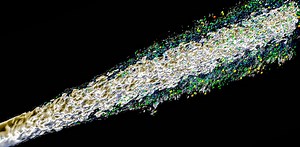 La simulation numérique imagine le futur