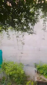 Nature Lover on Reels | Facebook