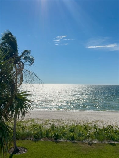 Andrea Meza on Reels