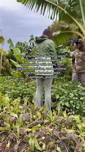 Laila Liljedahl | don’t let the noise make you forget the medicine growing under your feet #growyourownfood #offgrid | Instagram