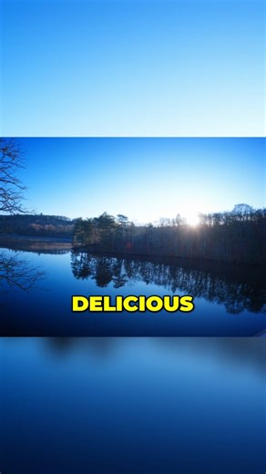 Starting my France explore on a STUNNING lake 🎣😍🏞 | Lure Fishing TV