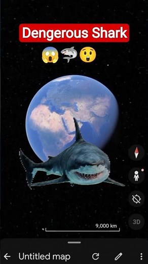Dangerous Shark View on Google Earth #shorts #googleearth #secret