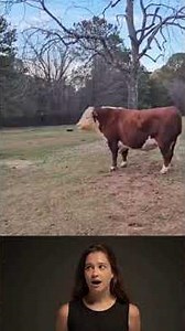 ¡LO LOGRÓ! 🤯 El ÚNICO Jinete que Pudo Montar al Toro CARABLANCA (FINAL ÉPICO)