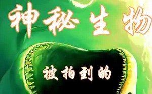 那些被拍摄的神秘生物，未解决的谜团清单，最后一个绝对令人惊奇#未解决的谜团#dy中的神奇动物#奇闻轶事#难以置信🍺🍾🍸