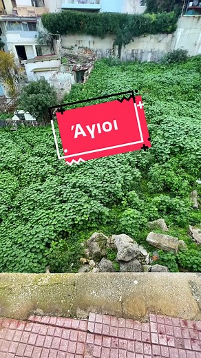 Αγιος #αγιος #πειραιας #θεος #αθηνα #χριστουγεννα #διαμερισμα #αγάπη #θρησκεια #χριστος #αγαπη #εκκλησια #βιβλιο #παναγια #θεοτοκος #ιησους #προσευχη #ιστορια