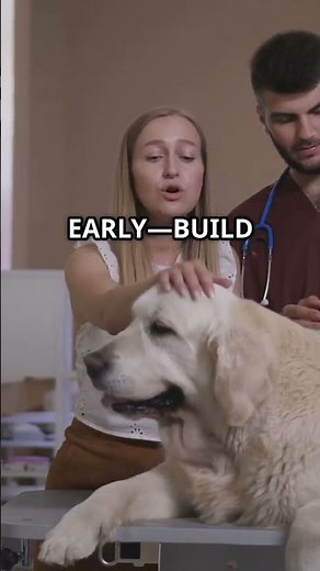 5 Must-Know Tips for First-Time Dog Owners 🐶✨