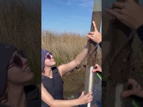 Surface Sediment Sampling