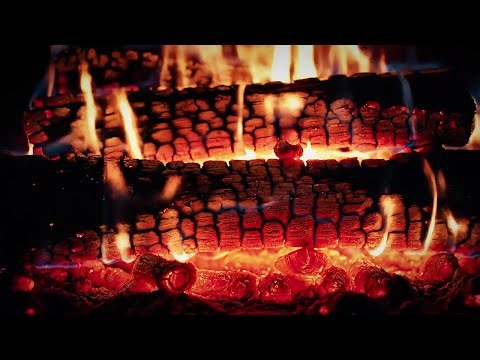 Forest Campfire ASMR – Soothing Nature Sounds for Meditation