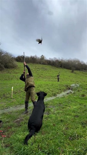 VIVA LA CAZA! 🦌🏹🐗🔥🌿