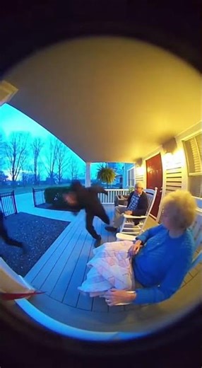 Parrot Attacks Robbers To Save Owners