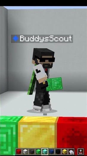 Minecraft Color Match 😲 #minecraft #shorts #minecraftshorts