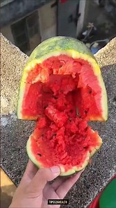 Experiment__Will_a_watermelon_explode_if_it_rolls_down_from_a_tall_building__🍉💥#watermelon