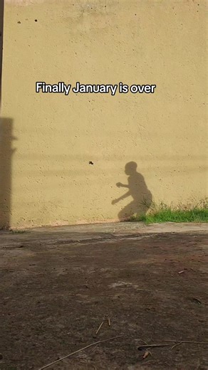 Goodbye January: A Comedy Reflection