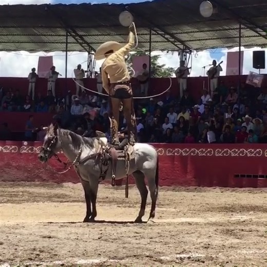 #charro #floreo #soga #reata