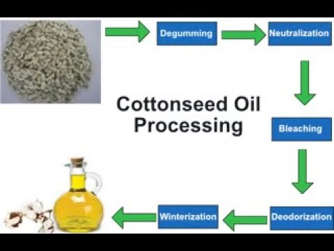 How Cotton Seed Oil is Manufactured in Factories | Expression Method | Complete Process With Diagram