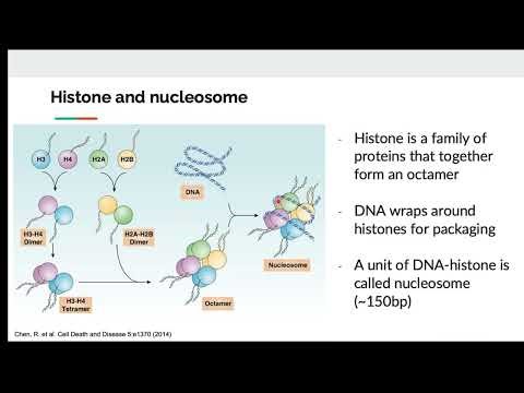 3000788 Fall 2025 L9 - ChIP-seq and DNA motif analysis