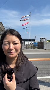 33K views · 1.8K reactions | Oggi in Giappone è festa nazionale, è il Kodomo no Hi, (こどもの日) il giorno dei bambini. Questa festività è dedicata soprattutto ai figli maschi. È celebrata per augurare ai figli buona salute e la tradizione prevede che vengano esposte al vento delle maniche a forma di carpa, i Koinobori. In questo video ve li facciamo vedere e vi portiamo con noi a fare un giro nella campagna giapponese. Buona visione  | Tommaso in Giappone | Facebook