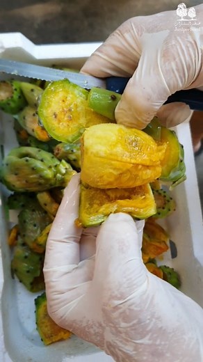 Prickly Pear Season, savor the flavor and enjoy the benefits! #juniperscent#storiesoflebanon#fruits#summer#food#pricklypear | Juniper Scent