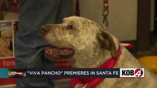 New Mexico dog 'Pancho' honored in film after saving family from intruder