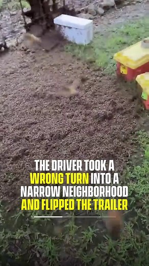 An 18-wheeler carrying 408 beehives flipped on a narrow Texas road on Sunday after the driver took a wrong turn, releasing an estimated 24 million honeybees into a residential neighborhood. Emergency services shut down roads and told residents to stay indoors. Local beekeepers suited up and rushed to the scene to salvage what they could, but only about a quarter of the hives are expected to survive. It all depends on how many queens made it out alive. (@queenbeesupplyllc via IG) #pubity #RoadTo1