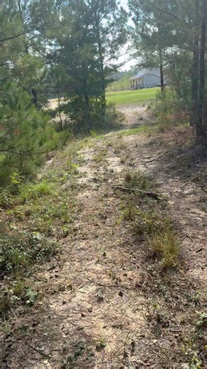 Nothing beats a peaceful hike on a cool day! 🌤️ Take a short walk down our beautiful trail and enjoy the quiet nature all around. End your stroll with some relaxing fishing at our beautiful lake — the perfect way to unwind and soak up the peace. 🎣🌲💙 #FishingLife #hiking #beautiful #luxurycabins #boguechittoswampcabins #WashingtonParish | Bogue Chitto Swamp Cabins