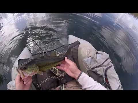 Kick Fin and Float Tube Tips with Bass and Bluegill Action