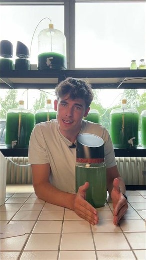 🌴 MySpirulina FAQ: Was passiert im Urlaub? | Algen-Pflege bei Abwesenheit