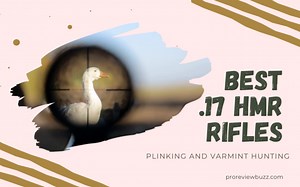 Top 10 Best .17 Hmr Rifles 2023 - Plinking and Varmint Hunting