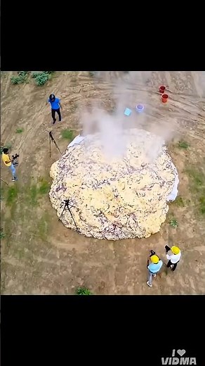 world's biggest elephant toothpaste experiment 🤯