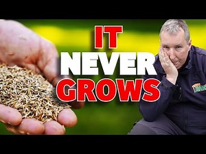 10 STUPID mistakes to AVOID overseeding your lawn