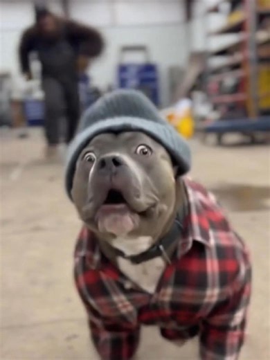 He’s been telling us how great of a driver he is all week… Turns out even Sasquatch has a limit. 😂 Which one do you work with? #TruckShop #DieselLife #TruckDriverProblems #ShopLife