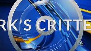 Kirk's critters: Yooper